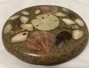 VTG Florida Trivet Seashell Resin Lucite Legend of Sand Dollar 6 3/4” USA
